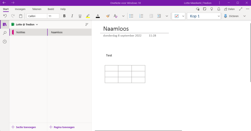 OneNote voorbeeld